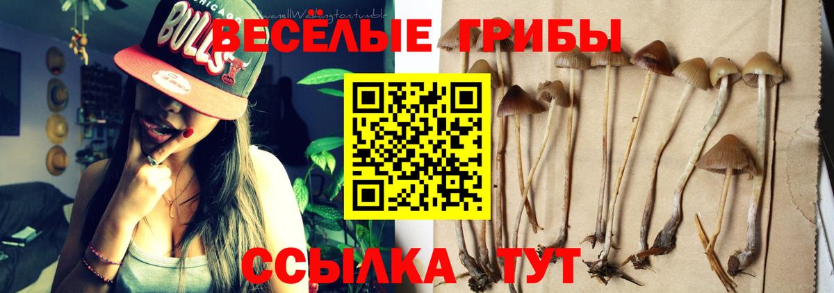 Курчатов  Псилоцибиновые грибы Magic Shrooms  Вход с VPN  Псилоцибиновые грибы ЛСД 
