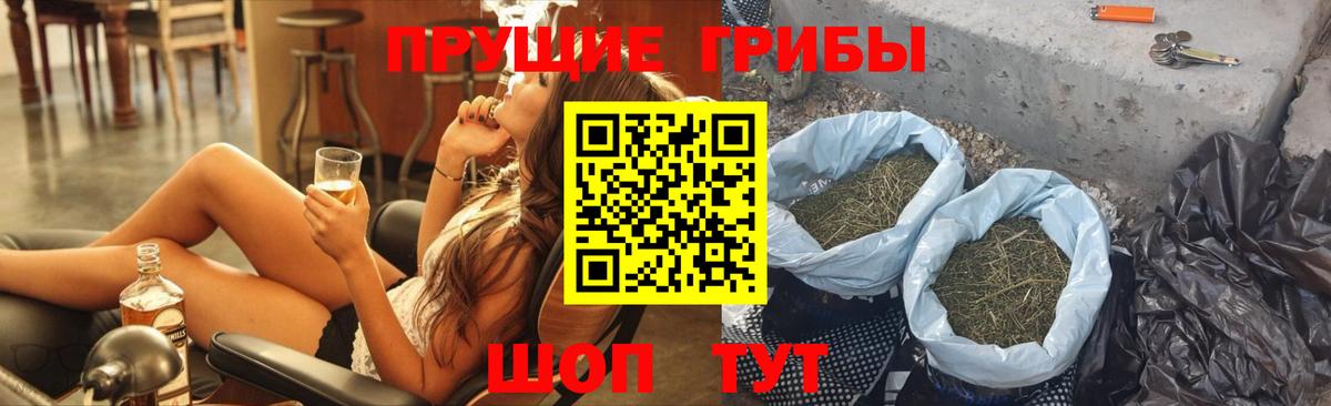 Галлюциногенные грибы Psilocybine cubensis Курчатов