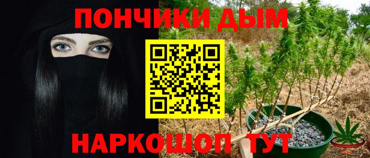 Бошки марихуана OG Kush Курчатов